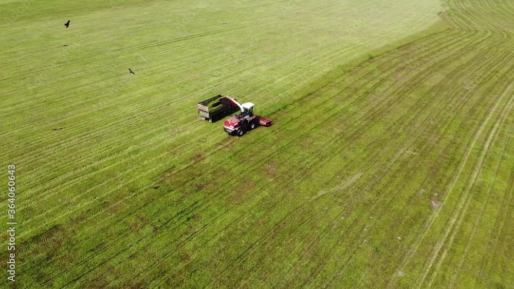 Aerial photography. Birds of prey fly over a tractor collecting grass on farmland in the summer. Aerial photography. Birds of prey fly over a tractor collecting grass on farmland in the summer.