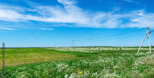 Green field with electric posts and blue sky . Panorama shot.