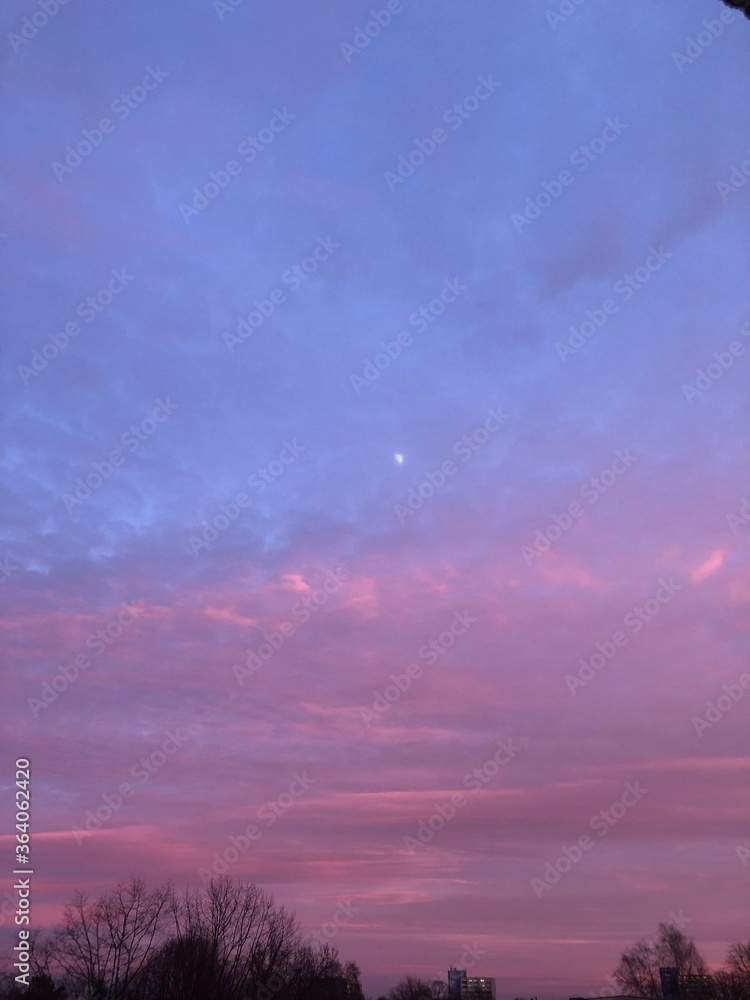 Obraz premium pink clouds in an blue sky