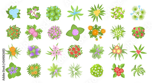 Vector set. Flowers. Top view. Collection of different flowers for architectural and landscape design. (View from above) Nature green spaces.