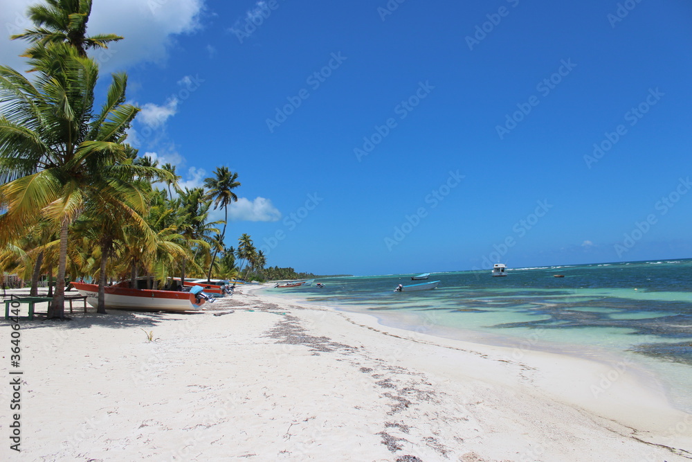 Fototapeta premium Beautyful Caribbean Beach in Summer