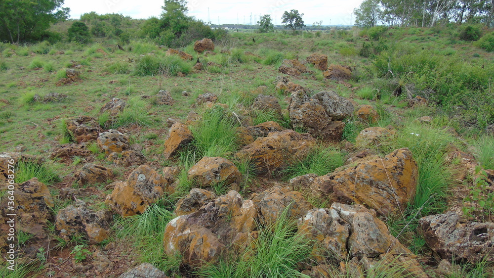 rocks in the field rocks in the field
