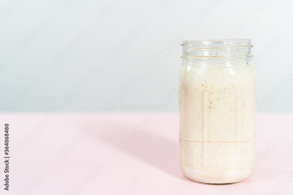 Sourdough starter Sourdough starter