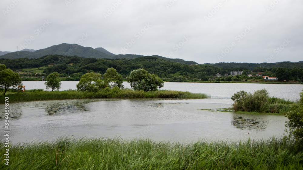 Obraz premium River visible on a cloudy day