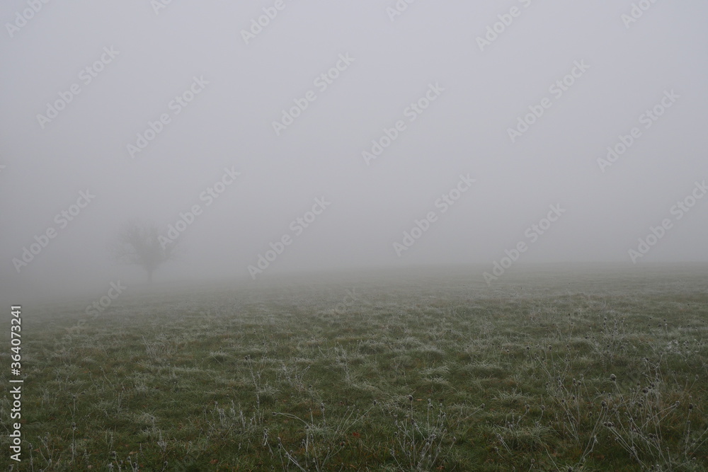 Champ Prairie Froid brouillard Brume Champ Prairie Froid brouillard Brume