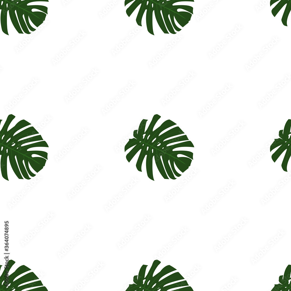 Plant seamless pattern, Green monstera leaves on white wallpaper. 
