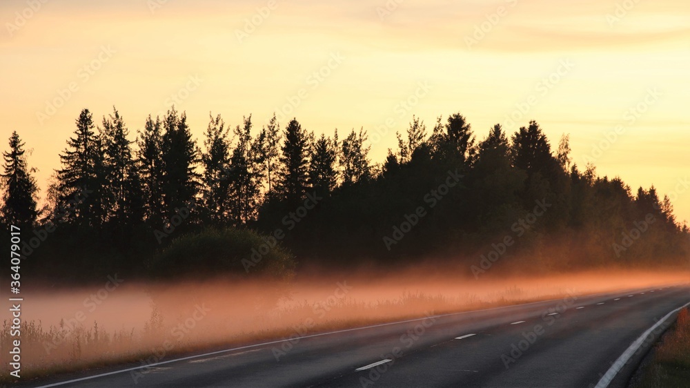 A misty road during sunset in rural area. Sunset has colored the fog red and the sky is yellow. A misty road during sunset in rural area. Sunset has colored the fog red and the sky is yellow.