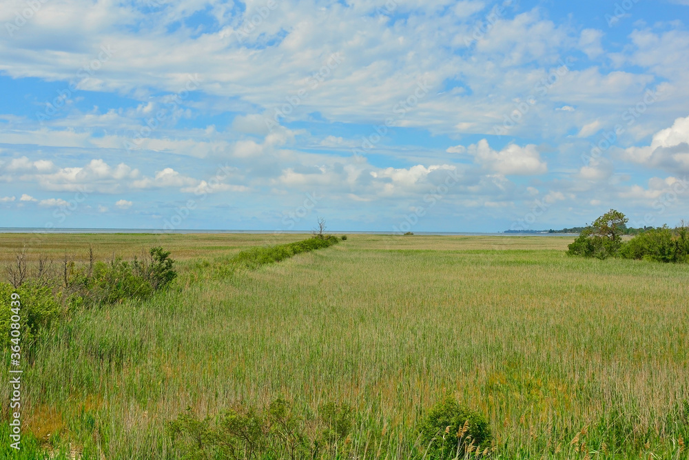 The wetlands of Isola Della Cona in Friuli-Venezia Giulia, north east Italy
The wetlands of Isola Della Cona in Friuli-Venezia Giulia, north east Italy