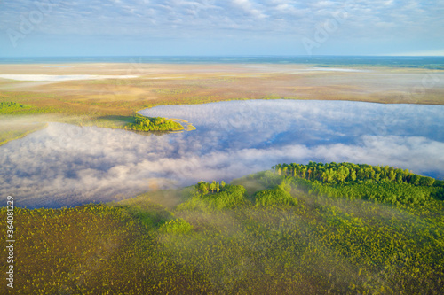 Swamp lake in the morning