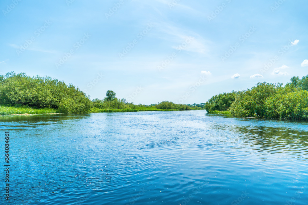 River landscape and green forest with trees blue water clouds on sky River landscape and green forest with trees blue water clouds on sky