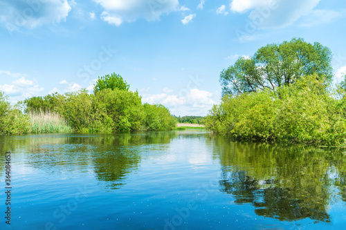 River landscape and green forest with trees blue water clouds on sky
