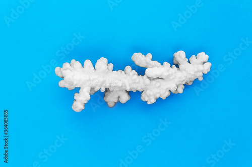 White sea coral on blue background. Underwater attractions.