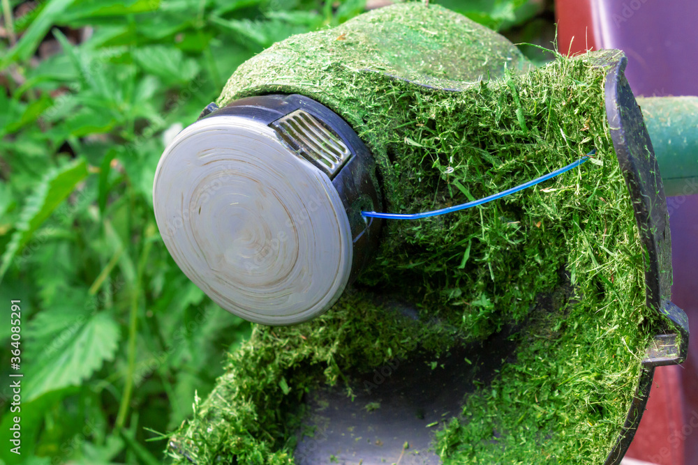 Fototapeta premium Trimmer with mowed fresh green grass on lawn. Close-up. Garden equipment. Blue grass cutting line.