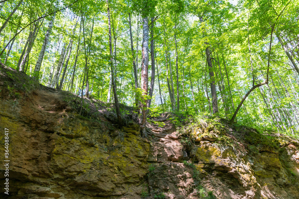 view from a cave in the Ichalkovsky forest view from a cave in the Ichalkovsky forest