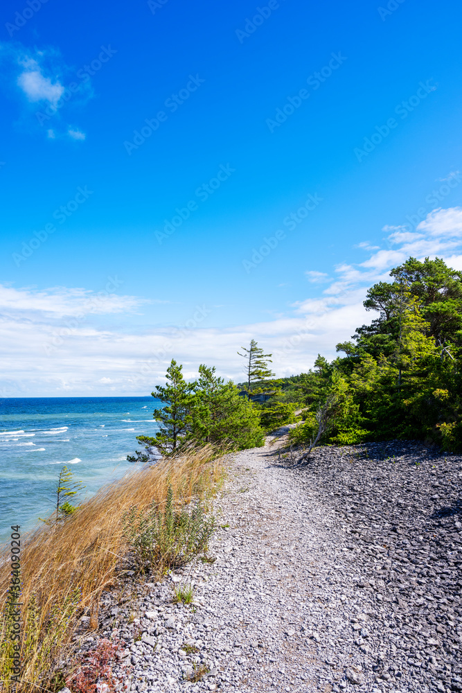 Fototapeta premium Forest coastal landscape on sunny summer day