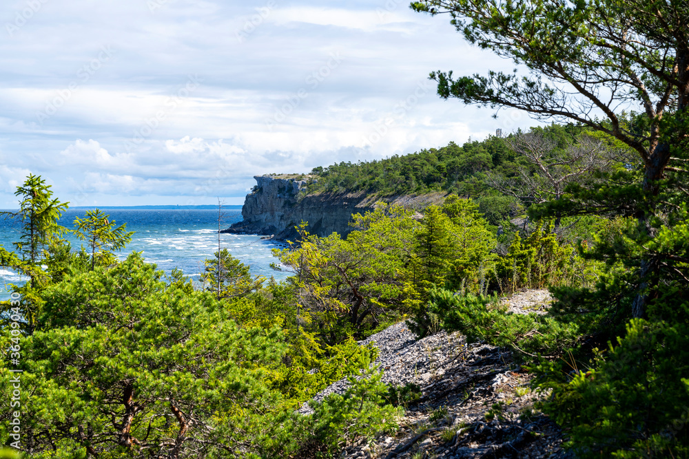 Forest coastal landscape on sunny summer day Forest coastal landscape on sunny summer day