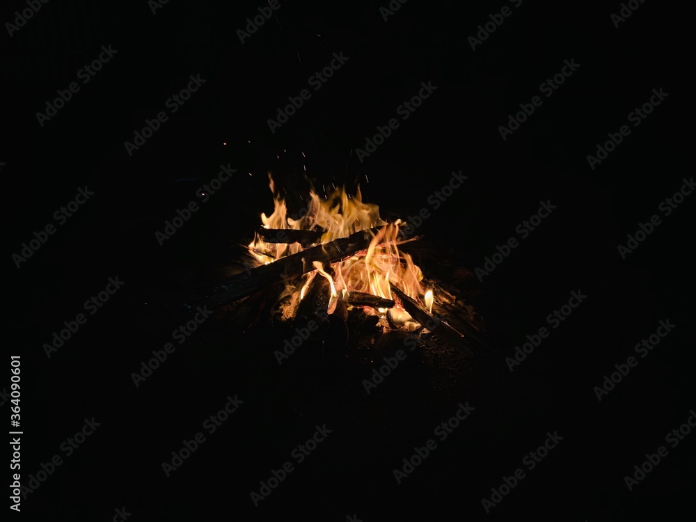 Fototapeta premium fire in the woods