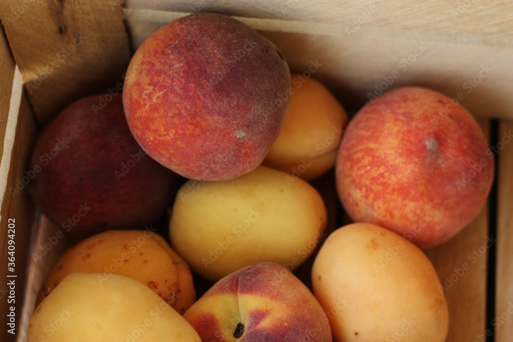 Ripe peaches and apricots in a wooden box Ripe peaches and apricots in a wooden box