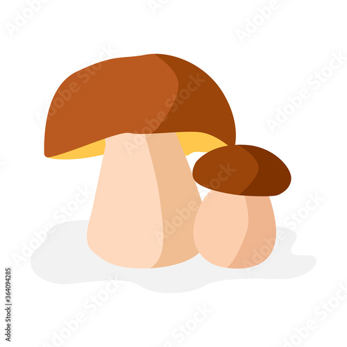 Fresh mushrooms on white background. Isolated porcini icon. Vector champignons sign. Edible mushrooms for cook food. Illustration in flat style.