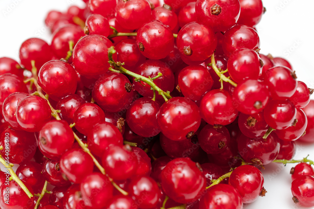 Background from fresh red currant berries, close up Background from fresh red currant berries, close up