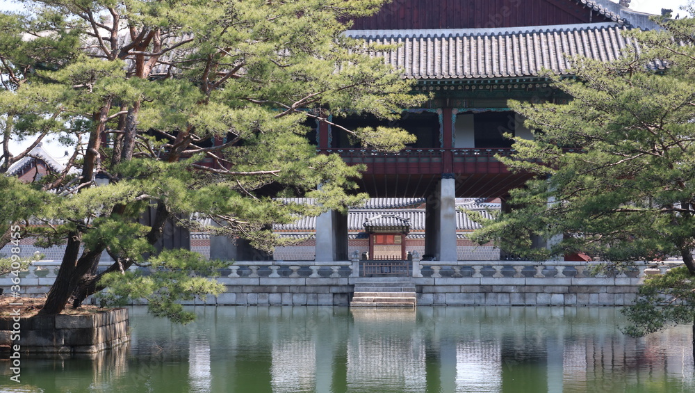 Fototapeta premium japanese garden in spring