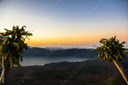 Two palm trees on the top of Batur volcano, Bali