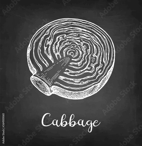 Chalk sketch of cabbage
