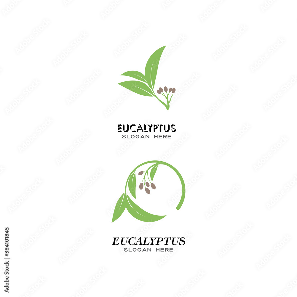 Eucalyptus leaves logo vector template Eucalyptus leaves logo vector template