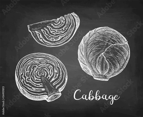 Chalk sketch of cabbage
