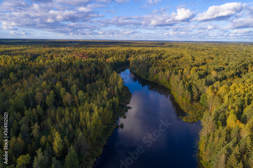 Over a narrow forest lake on a September day (aerial photography). Kostroma region, Russia