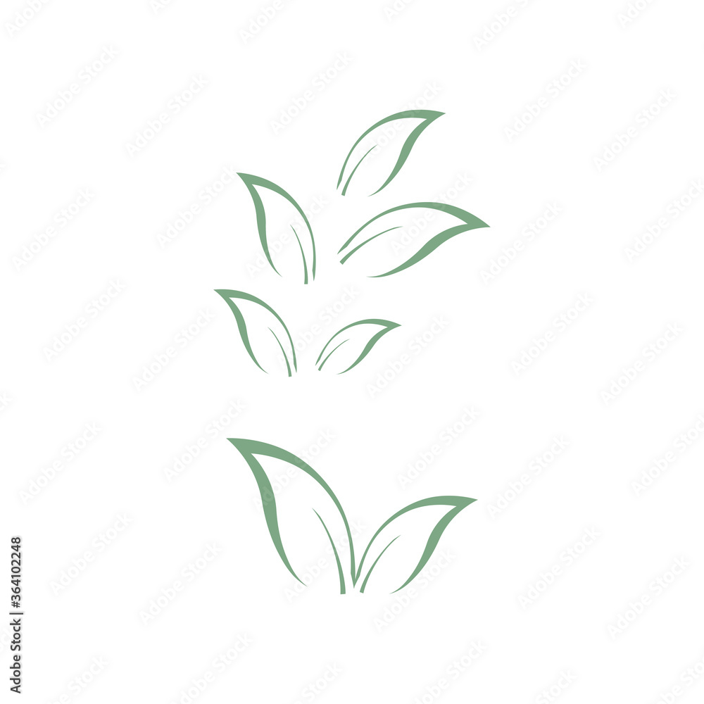 Fototapeta premium Eucalyptus leaves logo vector template