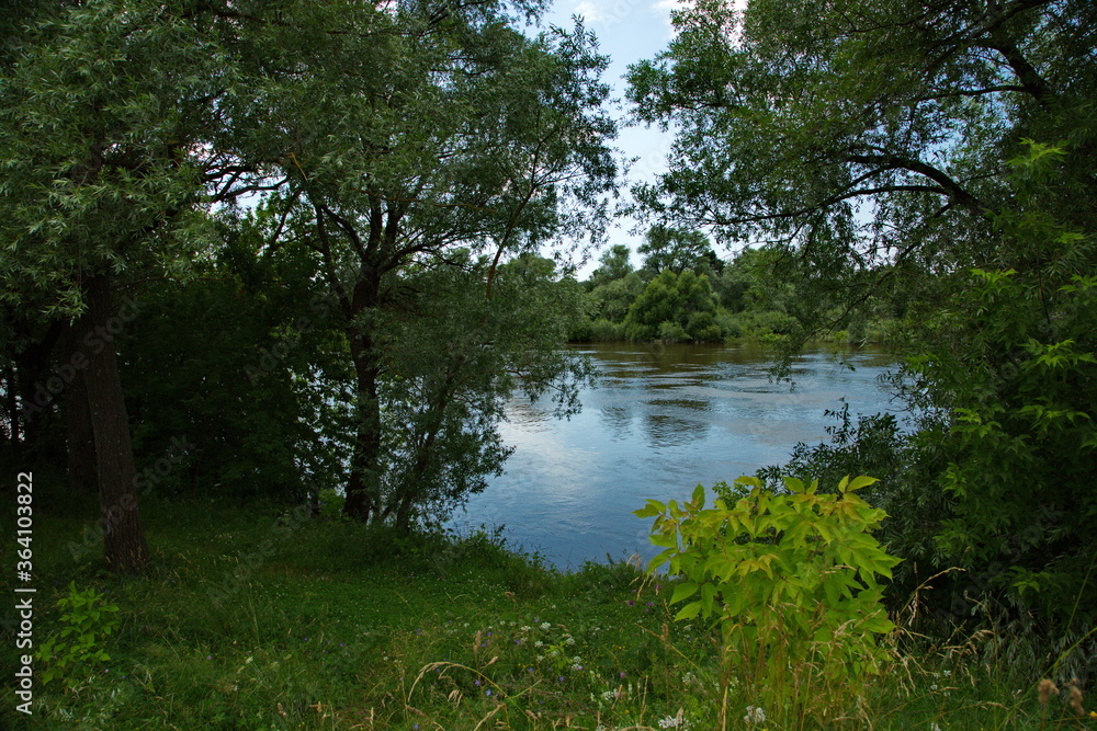 Obraz premium Summer landscapes in the vicinity of the village of Ubor, Moscow region of Russia.