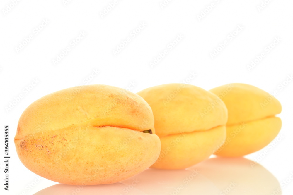 Ripe organic yellow apricot, close-up, isolated on white. Ripe organic yellow apricot, close-up, isolated on white.