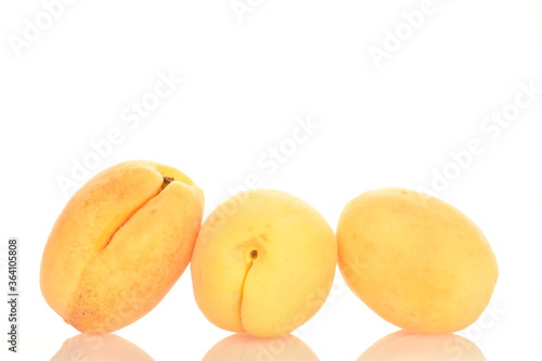 Ripe organic yellow apricot, close-up, isolated on white.