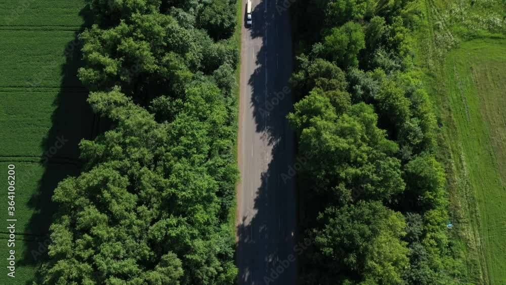 4k Aerial View Road With Trees Near Field 4k Aerial View Road With Trees Near Field