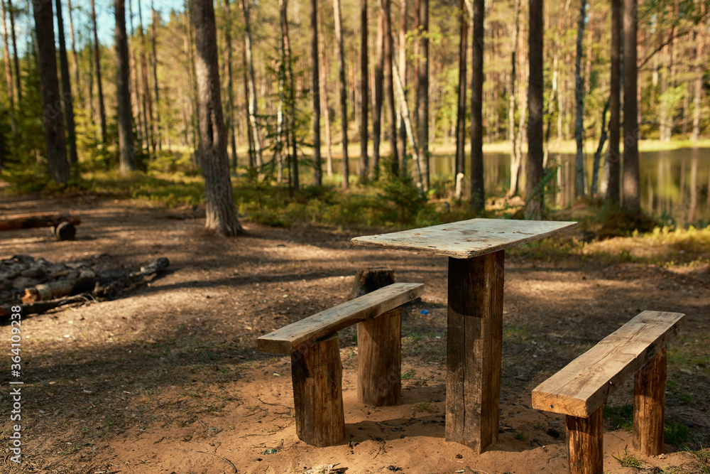 Horizontal shot of wooden table, two benches and campfire on clearing in forest with lake and tall fir trees in background. Vacations, wilderness, nature and summertime concept. No people around