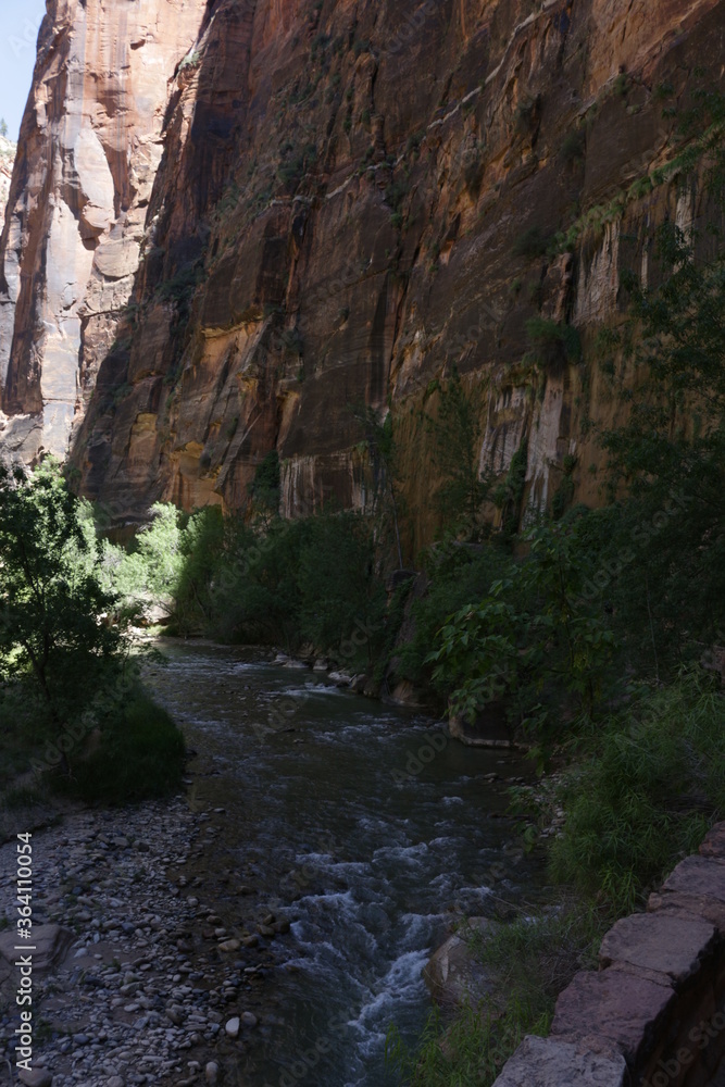 Fototapeta premium scenic Trails in Zion National Park, Utah