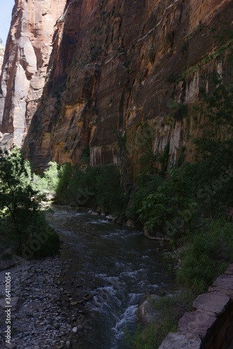 scenic Trails in Zion National Park, Utah