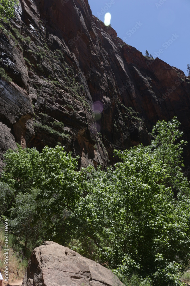 Obraz premium scenic Trails in Zion National Park, Utah