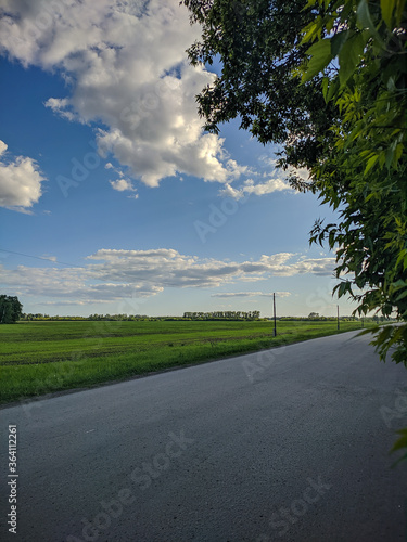 Russian outback, view of the outgoing road, blue sky and green meadows in Kamen-na-Obi, Altai, Russia. Vertical.