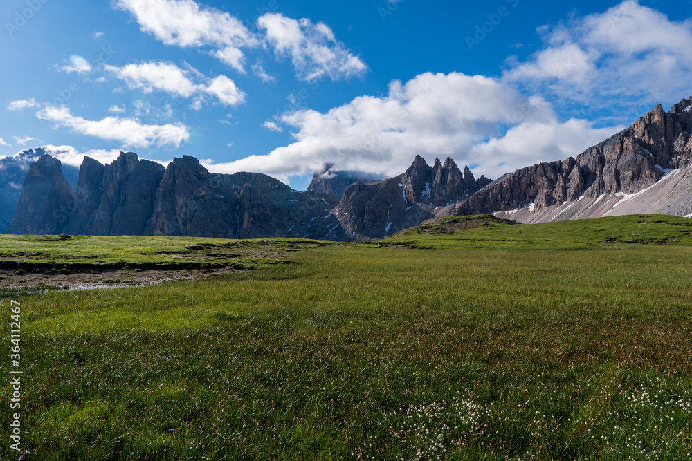 Incredible nature landscape in Dolomites Alps. Spring blooming meadow. Flowers in the mountains. Spring fresh flowers. View of the mountains. Panorama of Dolomites, Italy. Daisy flowers.