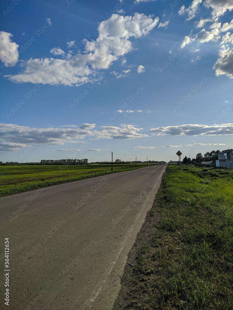 Russian outback, view of the outgoing road, blue sky and green meadows in Kamen-na-Obi, Altai, Russia. Vertical.