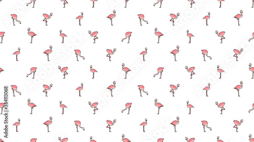 Bird seamless pattern, Flamingo on white wallpaper. 