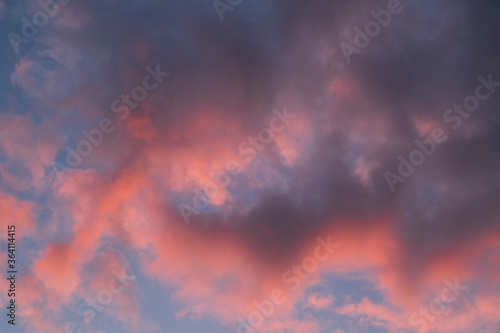 beautiful photo of the blue sky and clouds painted pink by the sunset © Сергей Черкашин