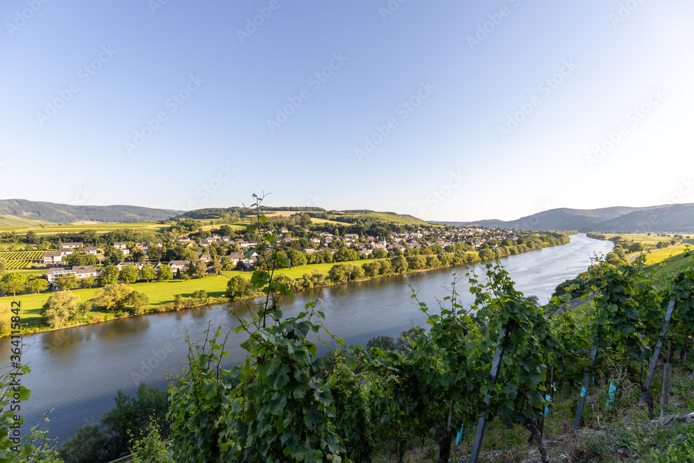 Fototapeta premium Scenic view on river Moselle valley with vineyard in foreground