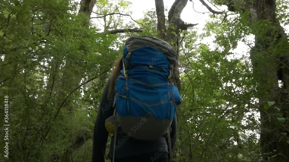 Woman Hiker moves Through Beautiful Lush Forest Woman Hiker moves Through Beautiful Lush Forest