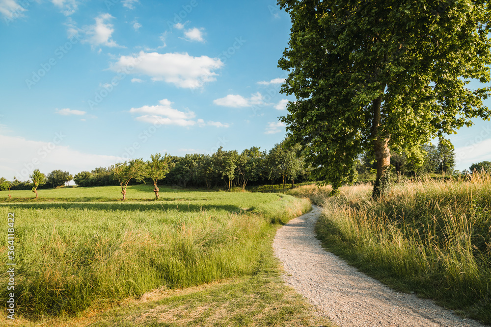 Torbiere del Sebino nature reserve in the province of Brescia on a sunny day with clouds Torbiere del Sebino nature reserve in the province of Brescia on a sunny day with clouds