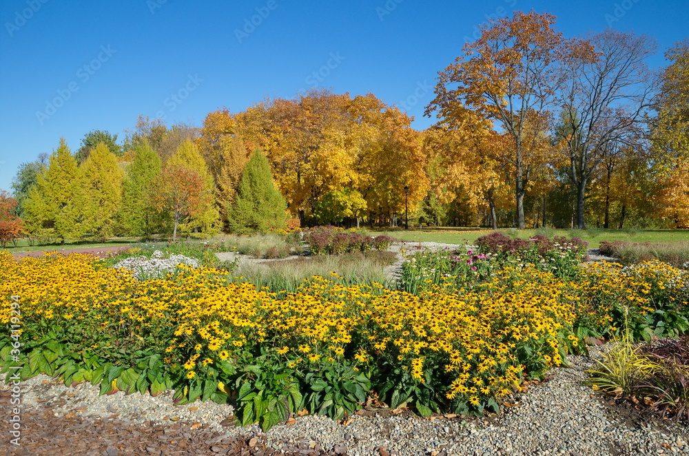 Naklejka premium Autumn landscape in Tsaritsyno Park. Moscow, Russia