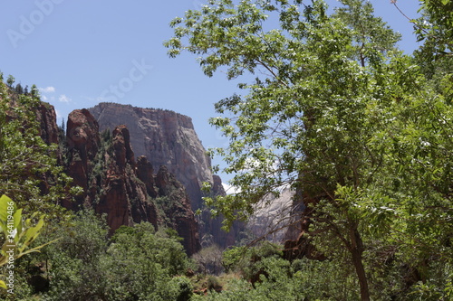 Trails in Zion National Park, Utah