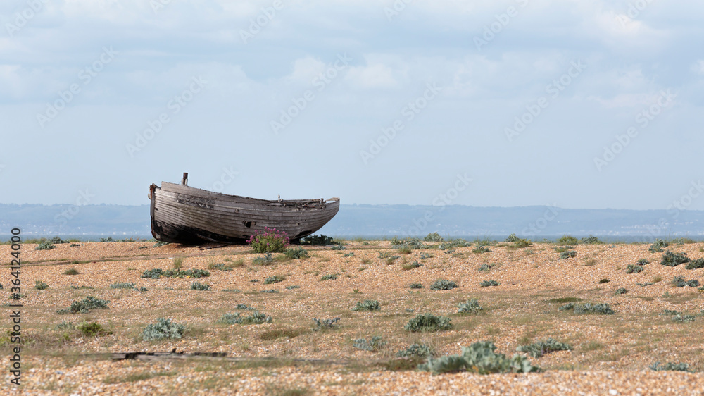 Fototapeta The hull of an abandoned fishing boat on Dungeness beach